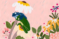 Blank Card - Frog by Suki McMaster (Pack of 6)