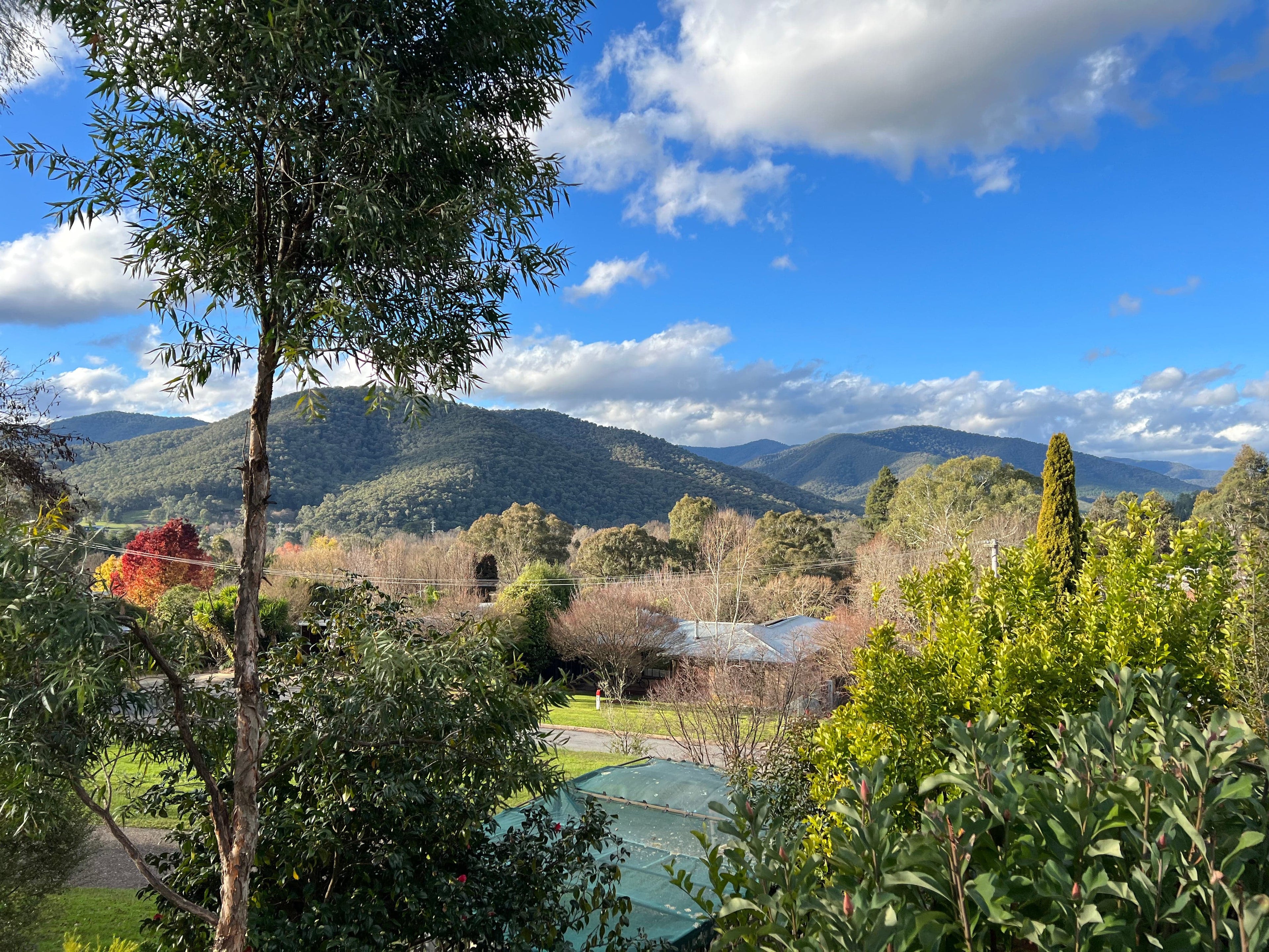 Australian Landscape Wall Art Print - Bright (Pack of 3)