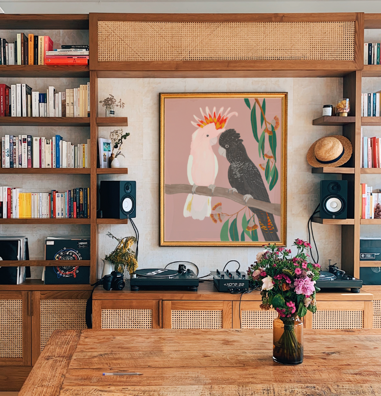 Suki McMaster | Wall Print - Rex The Black Cockatoo
