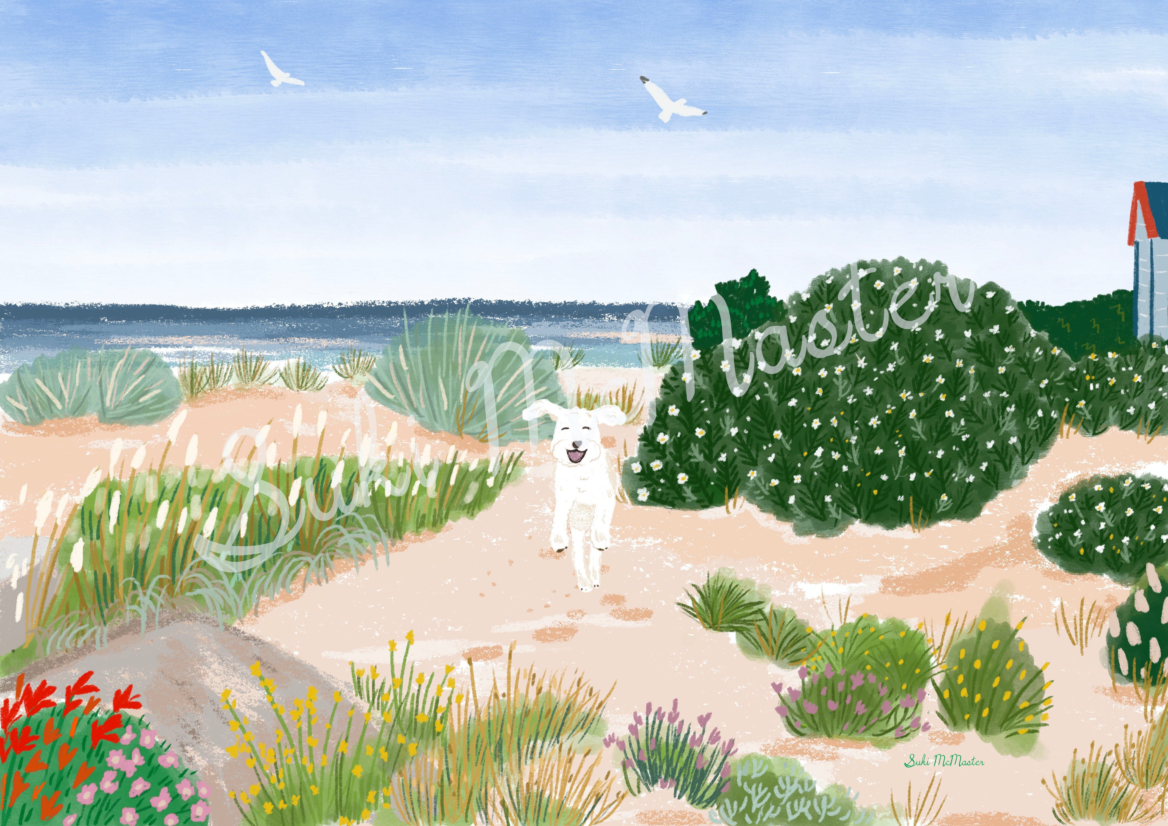 Wall Art Print - Oodle Dog Daisy On Beach (pack of 3)