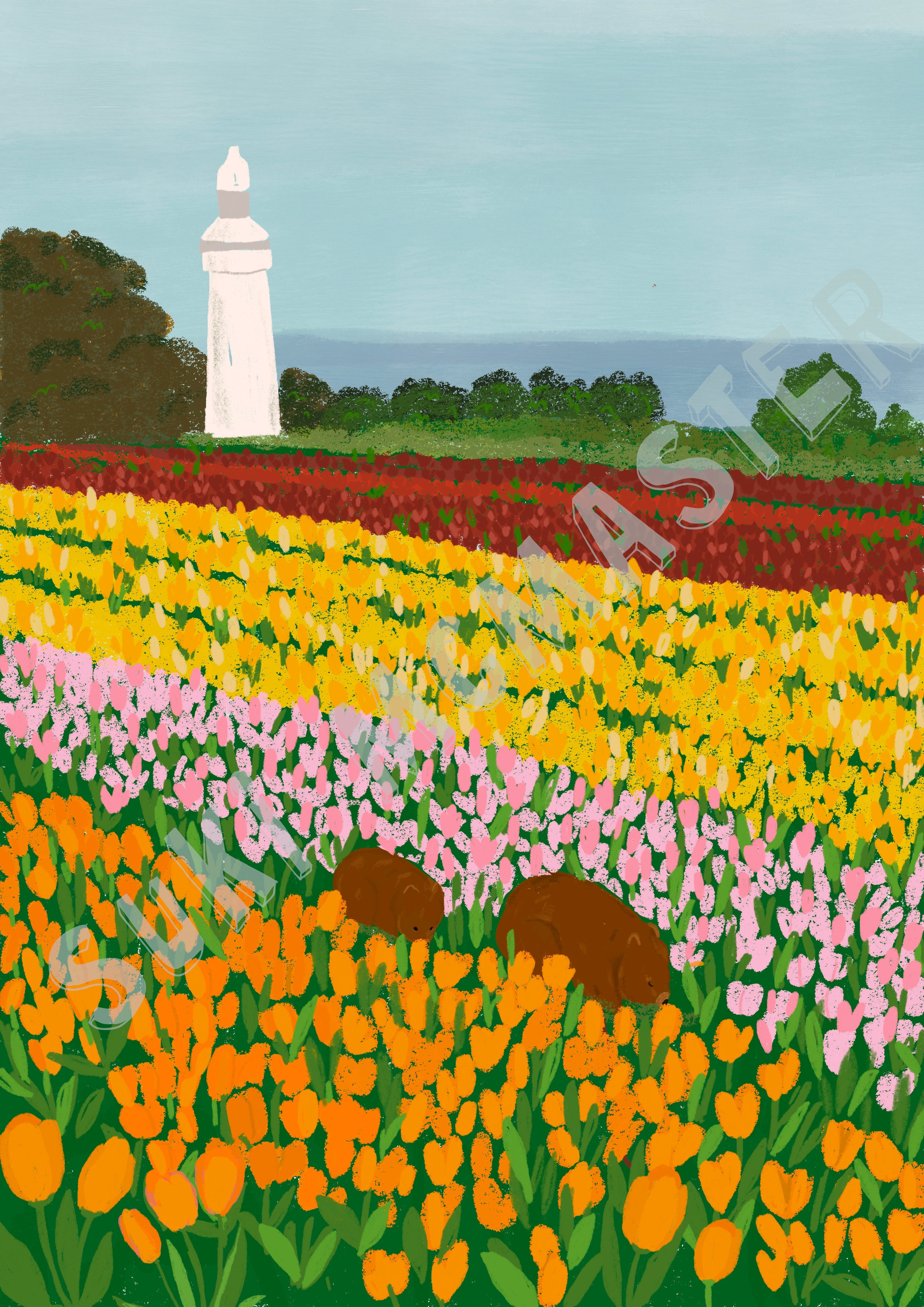 Australian Landscape Wall Art Print - Tasmania Tulip Festival (Pack of 3)
