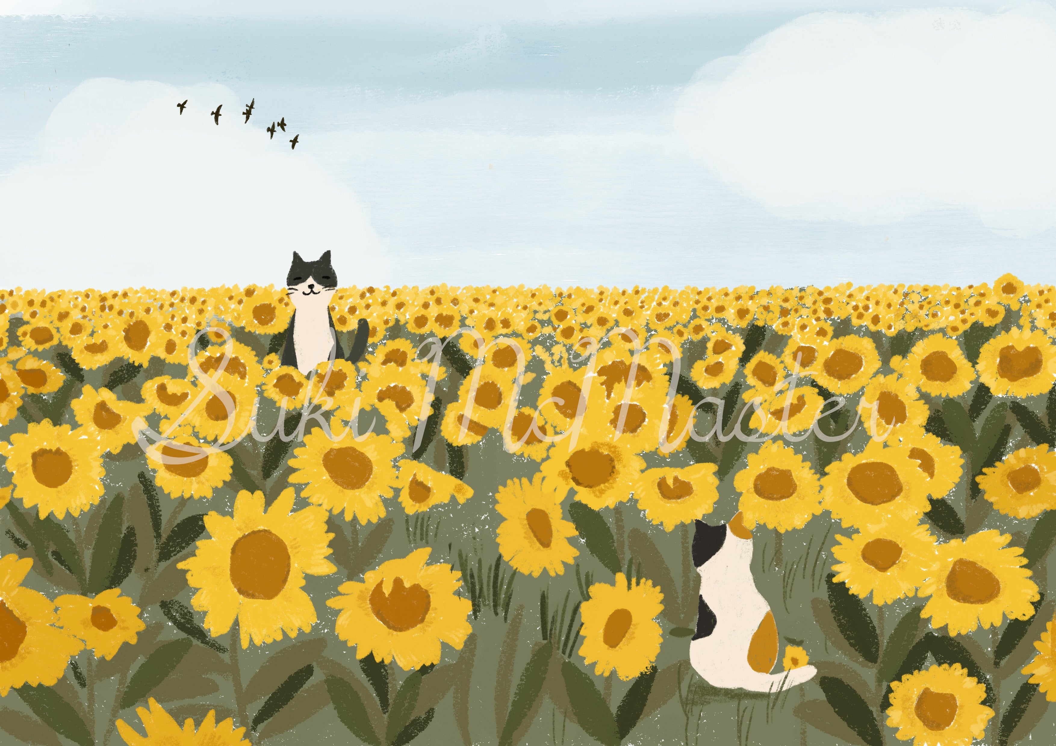 Australian Animal Wall Art - Cats And Sunflowers  (Pack of 3)