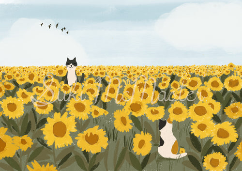Australian Animal Wall Art - Cats And Sunflowers  (Pack of 3)