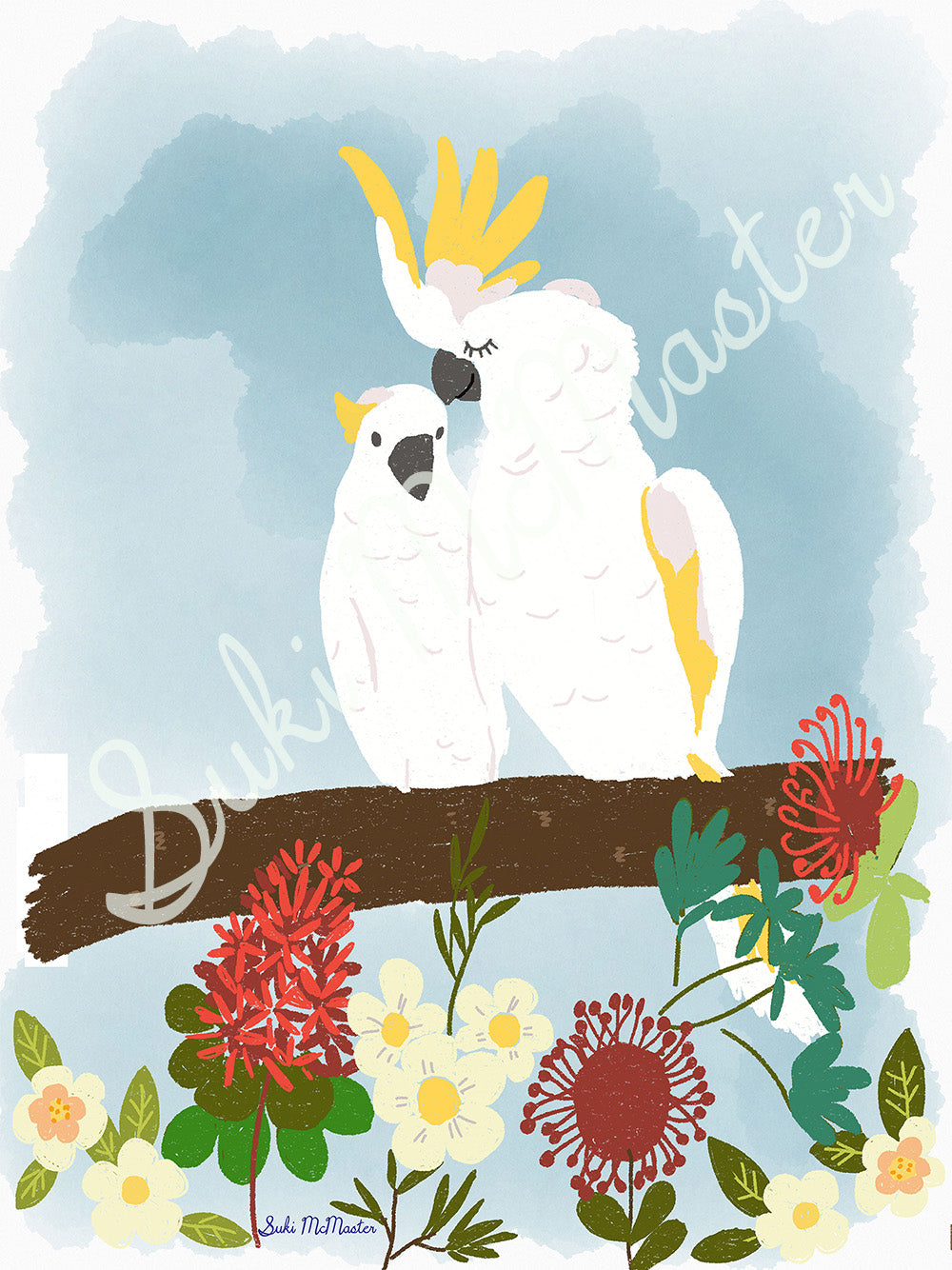 Australian Animal Wall Art Print - Cocky (Pack of 3)