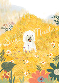 Wall Art Print - Oodles of Melbourne Daisy (Pack of 3)