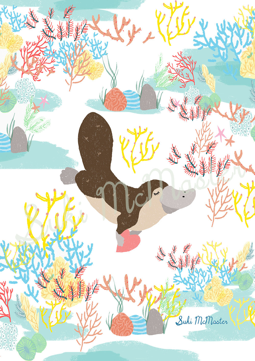 Australian Animal Wall Art Print - Platypus (Pack of 3)