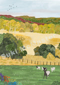 Australian Landscape Wall Art Print - Berry (Pack of 3)