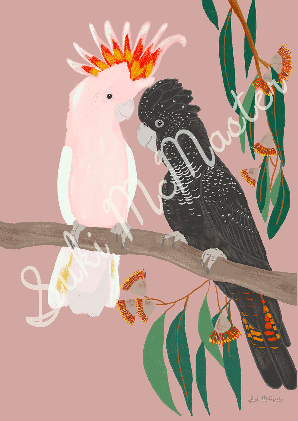 Australian Animal Wall Art - Rex the Black Cockatoo and Muffy the Major Mitchel (Pack of 3)